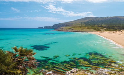 Cruises van en naar Palma de Mallorca