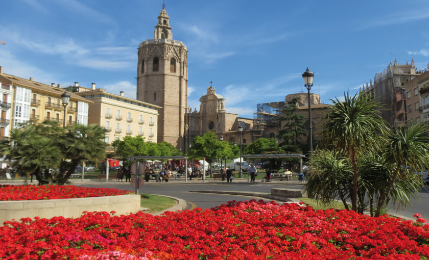 Bloemen in Valencia