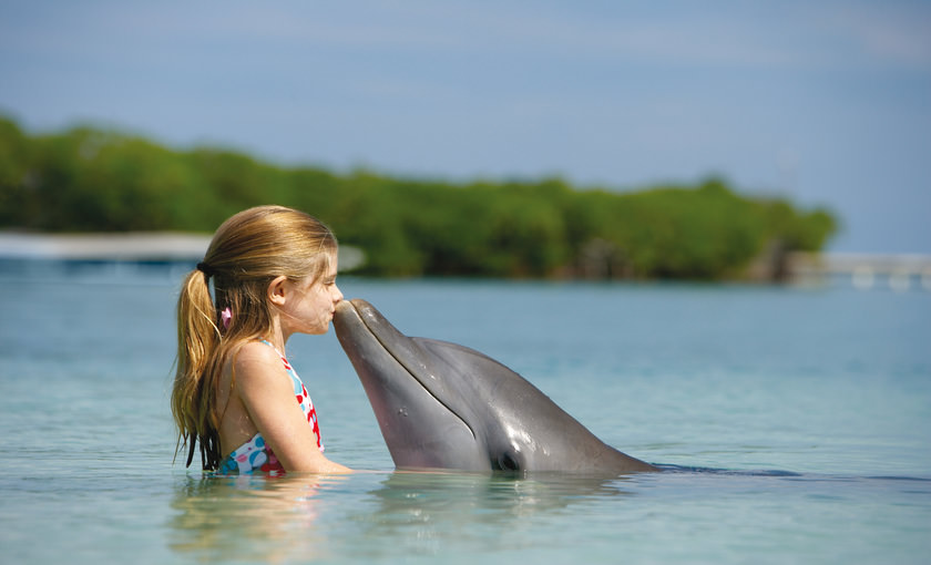 Kind met een dolfijn bij AIDA cruises