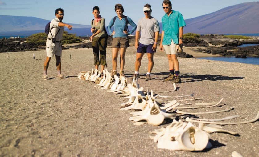 Botten op strand Galapagos